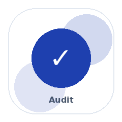 Audit icon